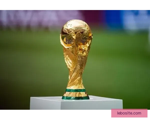 中央广播电视总台成功获得FIFA新周期赛事独家转播权